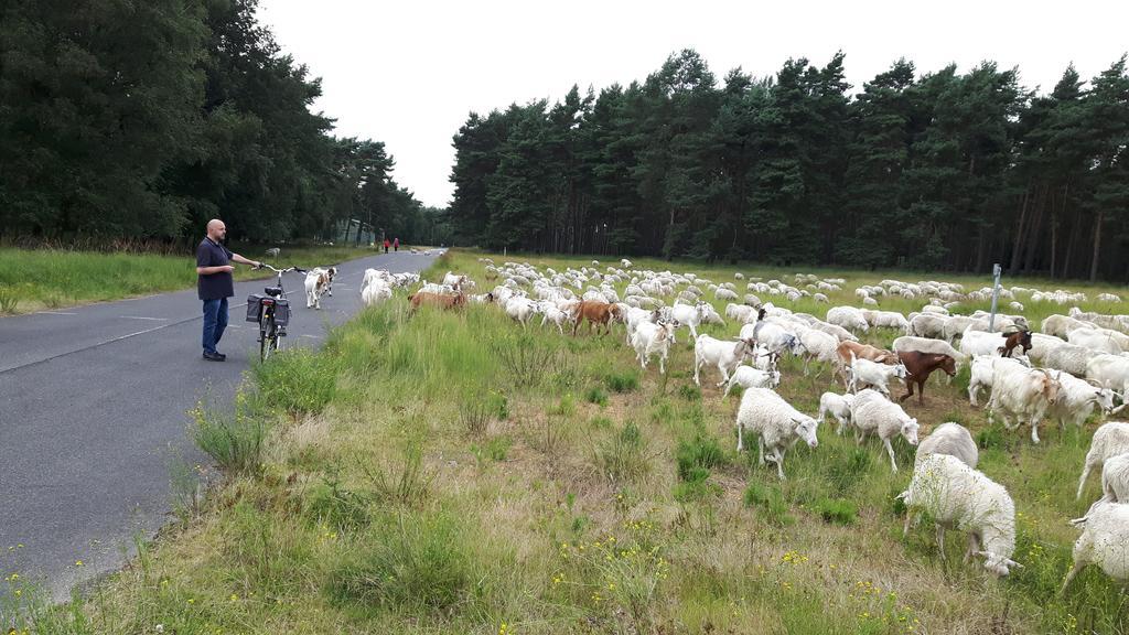Ferienhaus Burgblick Brueggen Bruggen  Zewnętrze zdjęcie